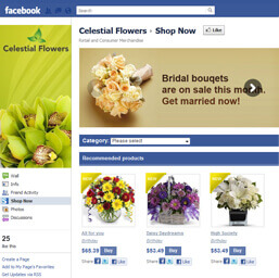 fb-demo_celestial-flowers